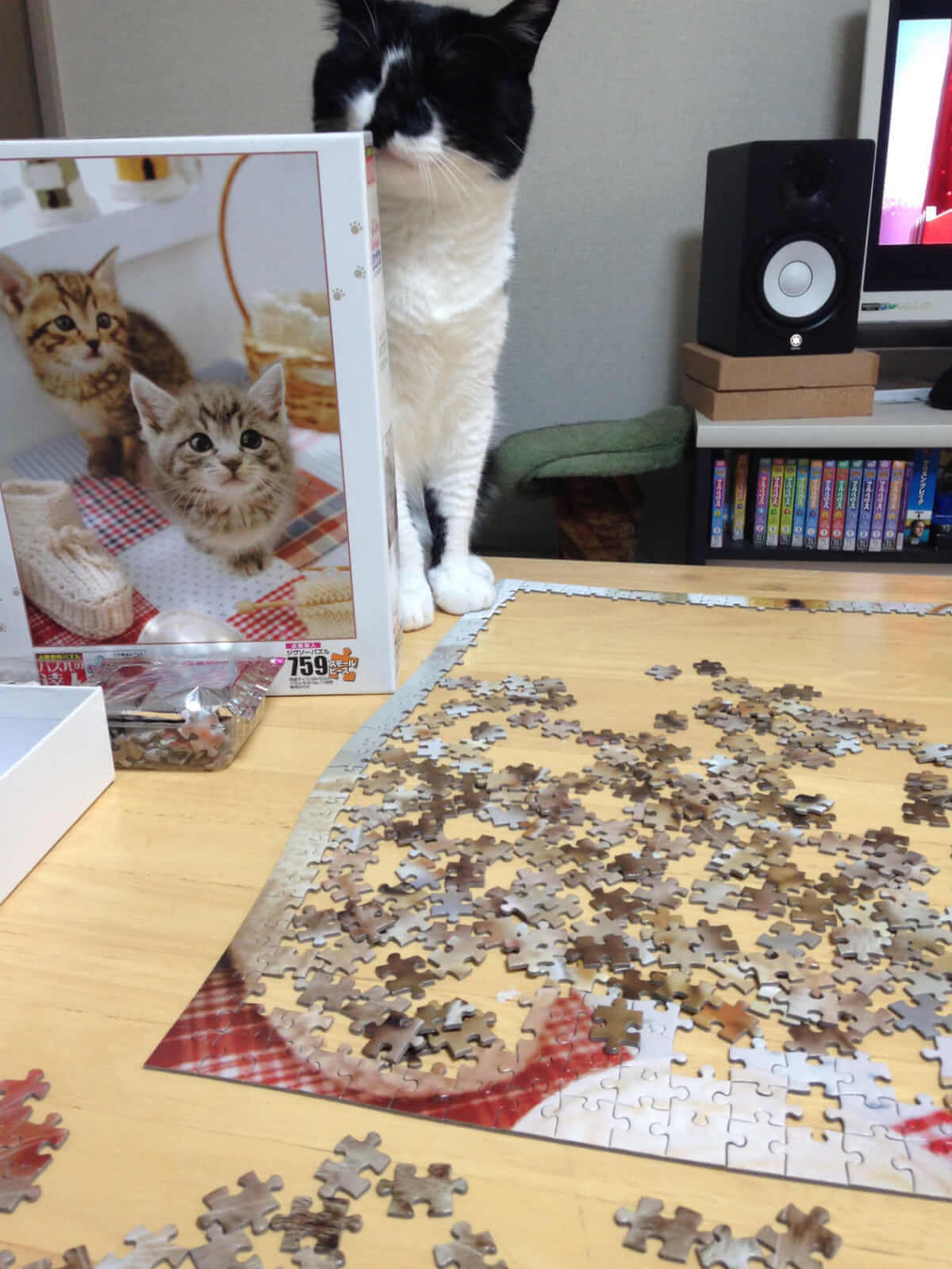 猫飼ってる部屋で猫のパズルしてみた。｜リュックと愉快な仲間たちブログ