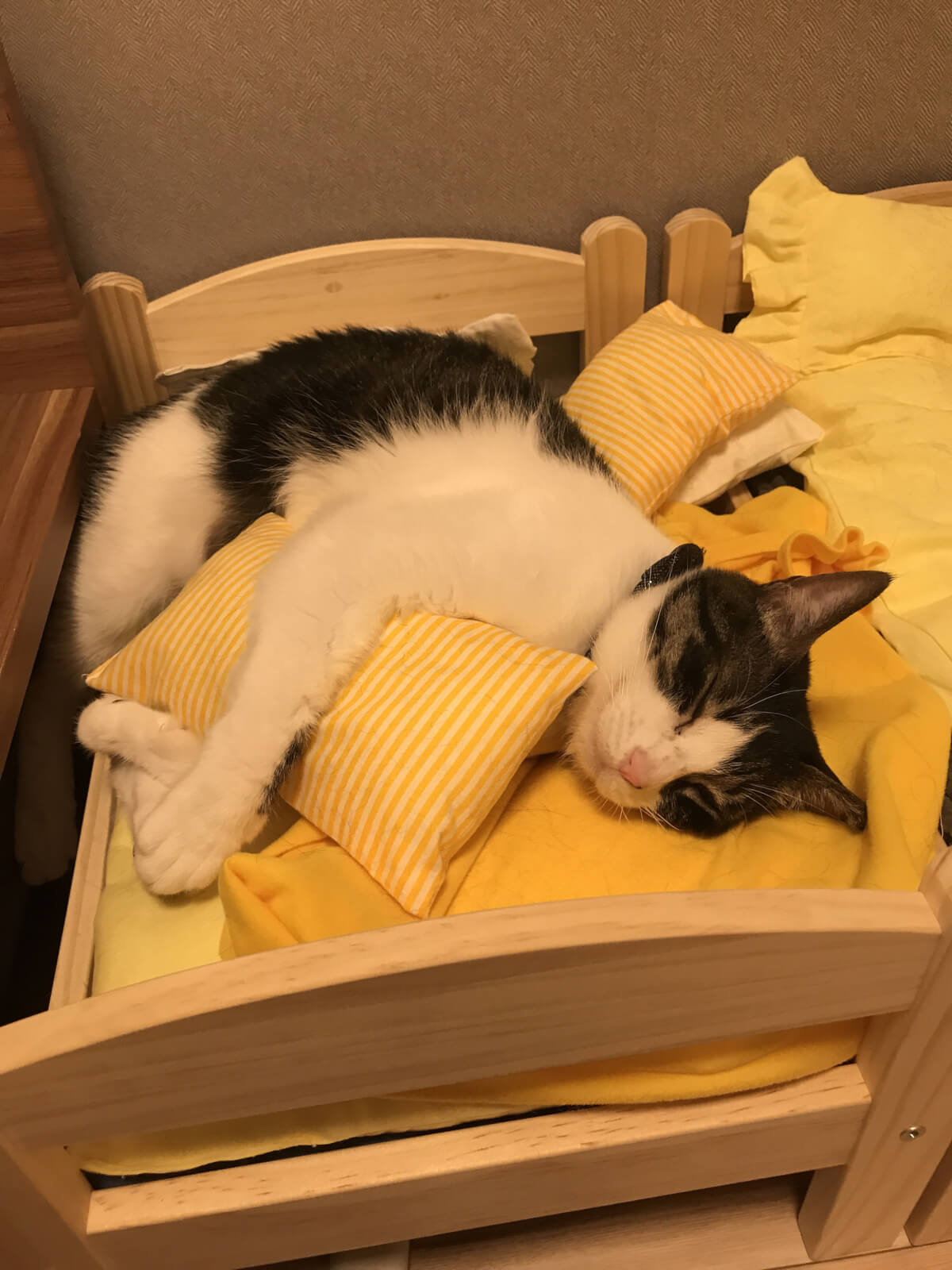 Ikeaのベッドめっちゃよく使うから まぁさすがにまさか枕は使わんだろ とダメもとで枕も作ってあげたら枕もめっちゃ使う 変顔猫リュックと愉快な仲間たち