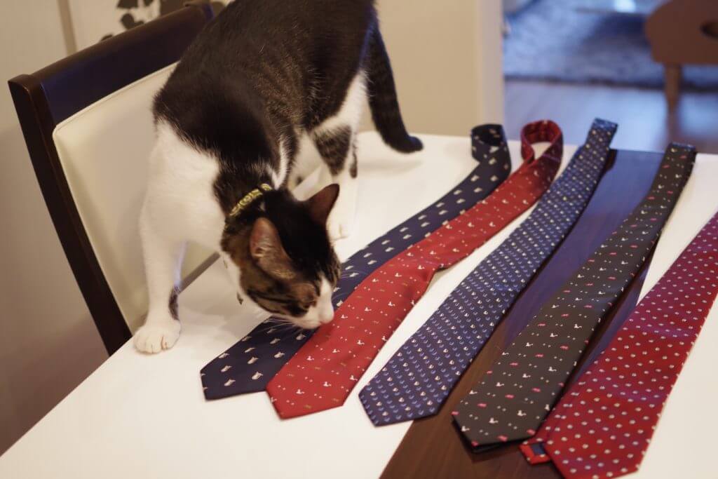 ついに…見つけましたよ。 猫マスターにお似合いのネクタイをね。 たくさん入手したんでとりあえず全部つけてみた。 そしてもうこの際だからネクタイ