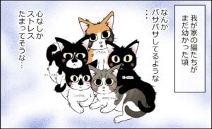 我が家の猫たち、突然の漫画化・・・・!?